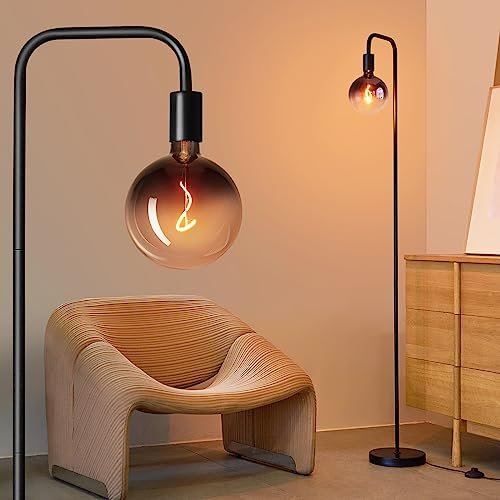 ONEWISH Floor Lamp for Living Room - Modern Globe Glass