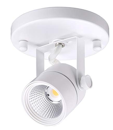 CLOUDY BAY LED Flush Mount Ceiling Spot Light, Dimmable