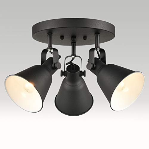 Multi-Directional Ceiling Spot Light, Adjustable Round...