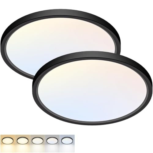 Fairdeer 2Pack 12Inch LED Flush Mount Ceiling Light