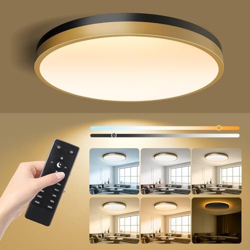Lightania 13 Inch Flush Mount Ceiling Light with Remote...