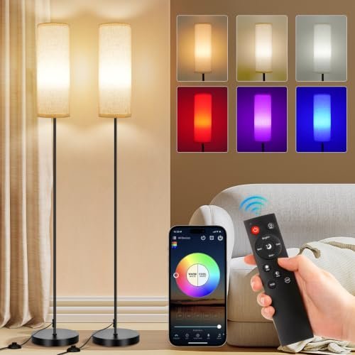 FRIDEKO HOME 2 Pack Floor Lamps for Living Room