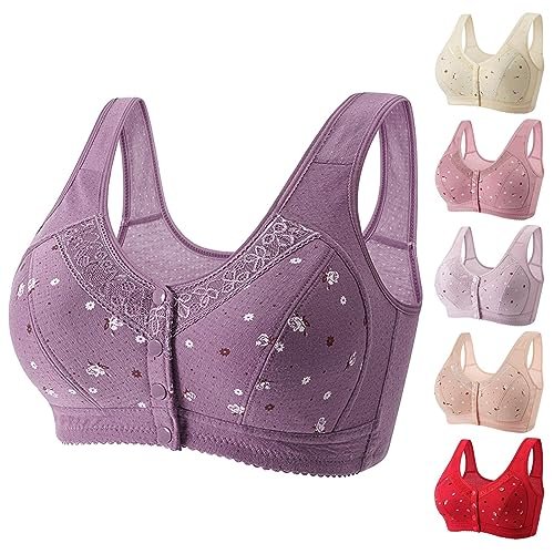 Log+Into+My+Account,Recent+Orders+Placed+by+Me,Push up Bras...