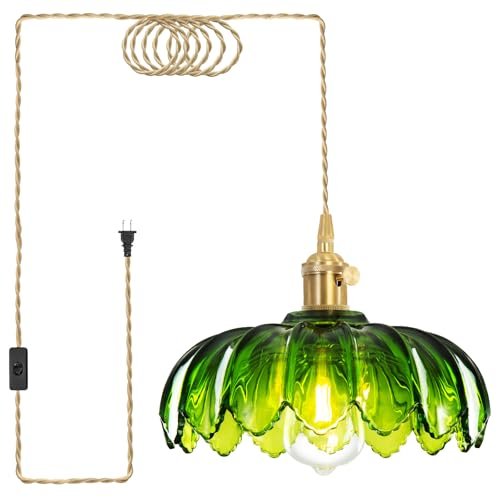 Beser·Win Plug in Pendant Light, Hanging Lights with cord