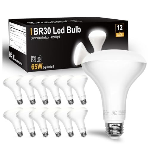 DAYBETTER BR30 LED Light Bulbs Indoor Flood 5000K Dimmable