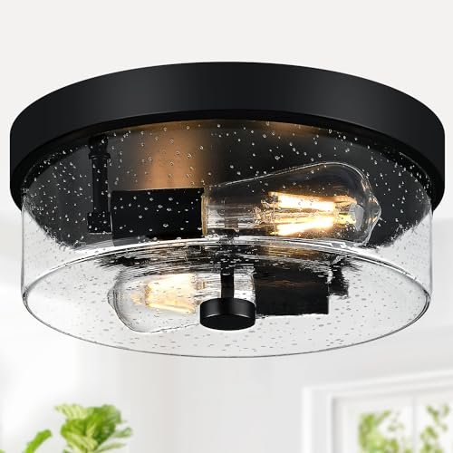 Black Flush Mount Ceiling Light Fixtures, 2-Light Seeded...