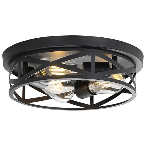 piano7797 13 inch Black Flush Mount Ceiling Light Fixture