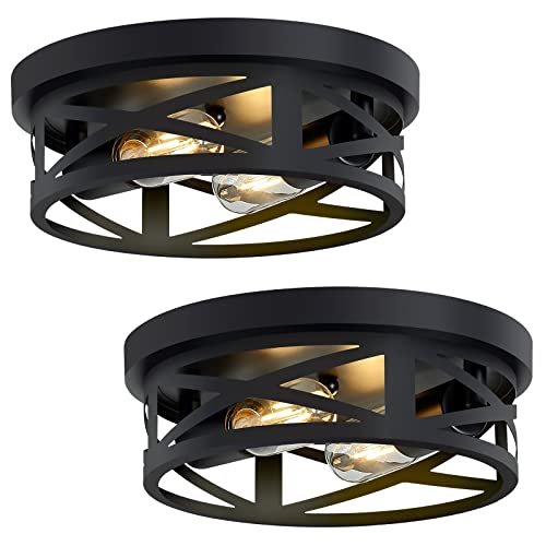 SKEJAO Flush Mount Ceiling Light Fixture,Black 2-Light...