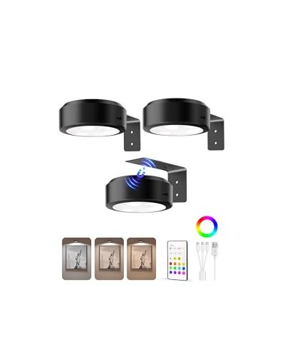 EZVALO Picture Lights for Wall, 2000mAh Rechargeable...