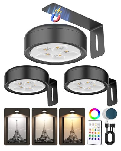3 Pack Picture Lights for Wall,Wireless 2000mAh...
